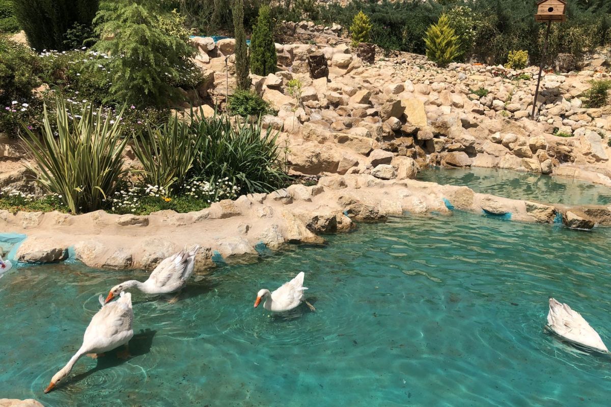  هتل آپارتمان سالمندی پارک سلامت روان حاجات 